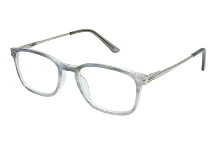 Reading glasses LEXXOO 4240B light gray lateral