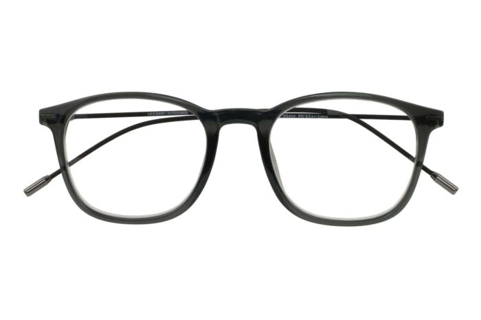Lesebrille Lexxoo 4153 grau geschlossen