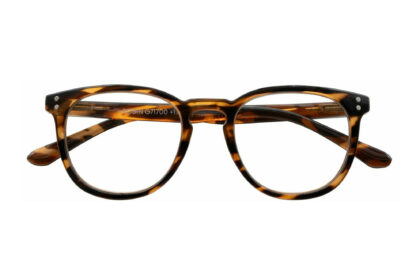 Robin, Tortoise braun