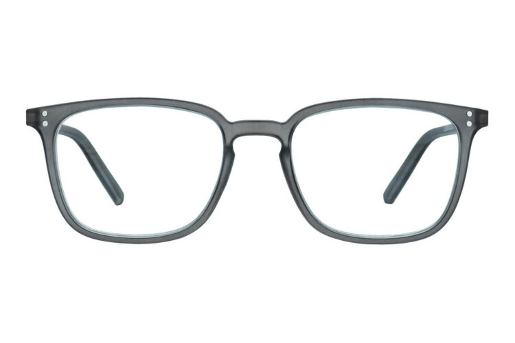 Lesebrille.de Kollektion LB1001 grau frontal