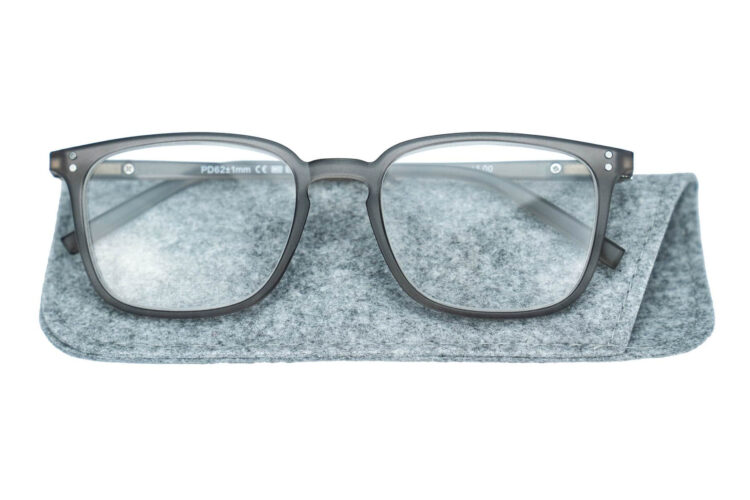 Lesebrille.de Kollektion LB1001 grau mit etui