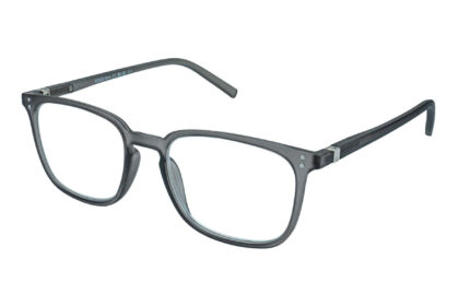 Lesebrille.de Kollektion LB1001 grau frontal