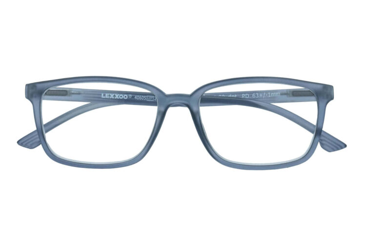 Lesebrille Lexxoo 4060B dunkelgrau geschlossen