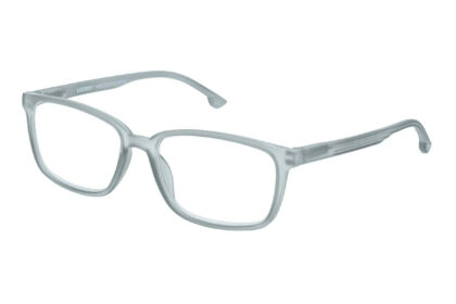 Lesebrille Lexxoo 4060B hellgrau seitlich