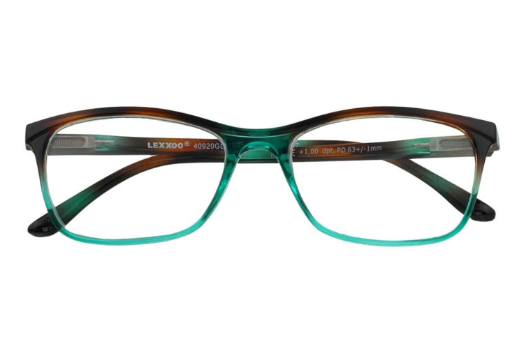 Lesebrille LEXXOO 4092 braun-petrol geschlossen