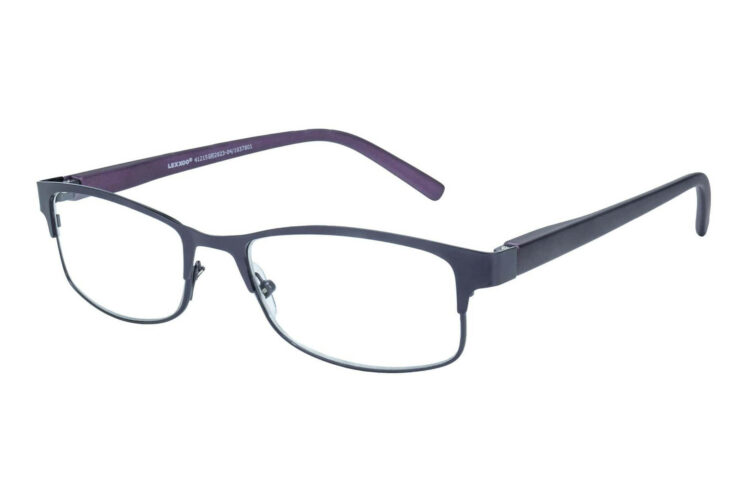 Reading glasses LEXXOO 4121B purple sideways