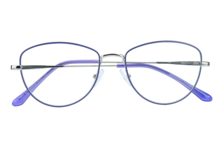 Lesebrille Lexxoo 4153B lila geschlossen